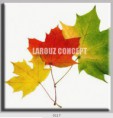 /album/photo-gallery-canvas-uri/decoratiuni-de-perete-canvas-lc-0117-jpg/
